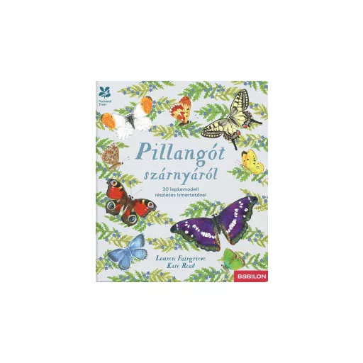 Pillangót szárnyáról - Lauren Fairgrieve
