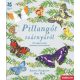 Pillangót szárnyáról - Lauren Fairgrieve