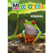 Gyerek könyvsorozatok