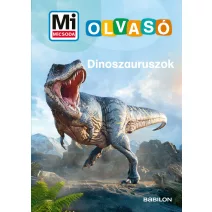 Gyerek könyvsorozatok