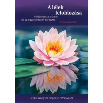 A lélek feloldozása - Dr. B. Raven Lee