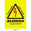 Jelensokk - Amikor minden most történik - Douglas Rushkoff