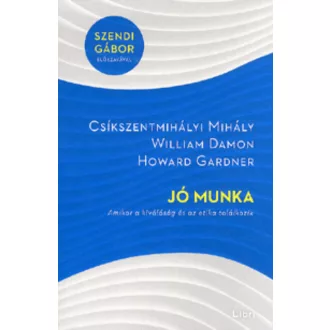 Jó munka /Amikor a kiválóság és az etika találkozik (Csíkszentmihályi Mihály)
