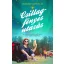 Csillagfényes utazás - Virginie Grimaldi