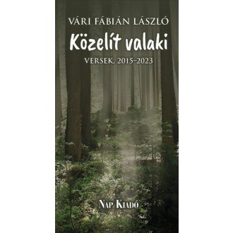 Közelít valaki - Vári Fábián László