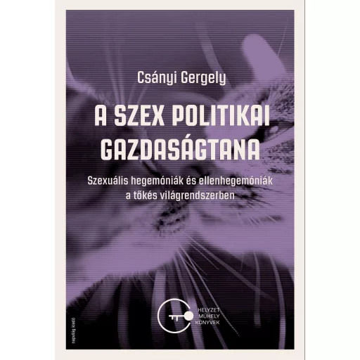 A szex politikai gazdaságtana - Szexuális hegemóniák és ellenhegemóniák a tőkés világrendszerben - Csányi Gergely