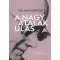 A nagy átalakulás - Polányi Károly