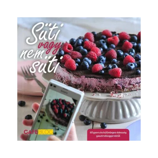 Süti vagy nem süti /Több mint 60 gyors és különleges édesség gasztrobloggerektől (Válogatás)