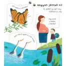 Hogy születik a kisbaba? /Kukucskálj be a fülek mögé! (Katie Daynes)