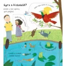 Hogy születik a kisbaba? /Kukucskálj be a fülek mögé! (Katie Daynes)
