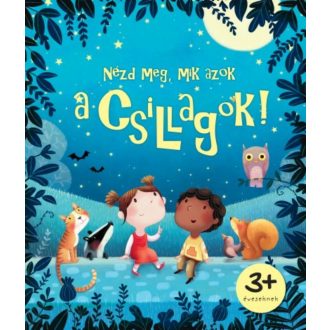 Nézd meg, mik azok a csillagok! (Katie Daynes)