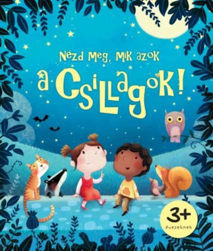 Nézd meg, mik azok a csillagok! (Katie Daynes)