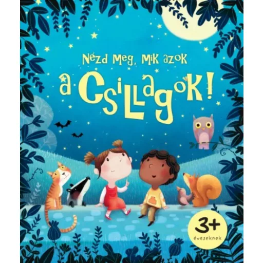 Nézd meg, mik azok a csillagok! (Katie Daynes)