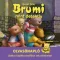 Brumi mint detektív olvasónapló - Drabon Ditta