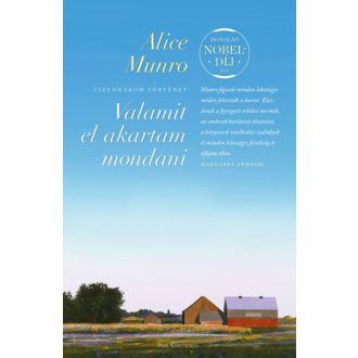 Valamit el akartam mondani - Alice Munro