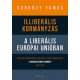 Illiberális kormányzás a liberális Európai Unióban - A harmadik Orbán-kormány, 2014-2018 (Sárkö