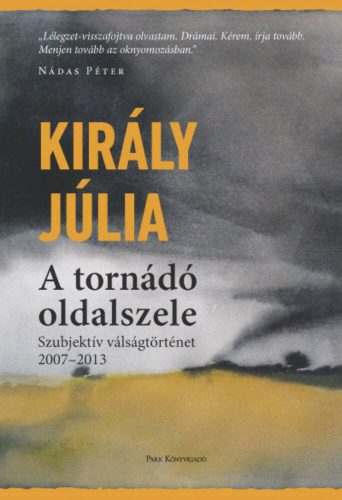 A tornádó oldalszele - Szubjektív válságtörténet (2007-2013) (Király Júlia)