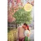 Cseresznyevirágzás - puhafedeles - Nicolas Barreau