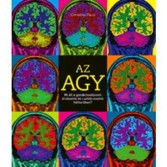 Az agy (Christine Pauli)