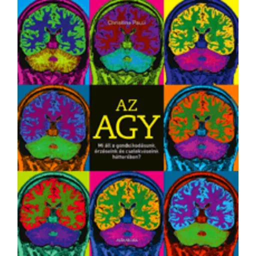 Az agy (Christine Pauli)