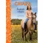 Chiara /Érzések vihara (Agnes Kottmann)