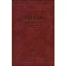 Szent könyvek, Bibliák