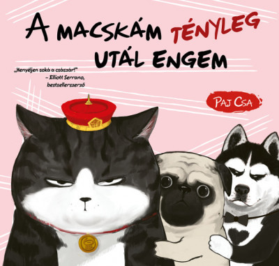 A macskám tényleg utál engem - Paj Csa