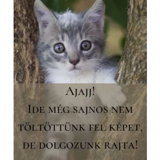   Pushing the Limits - Feszülő húr - Feszülő húr 1. - Katie Mcgarry