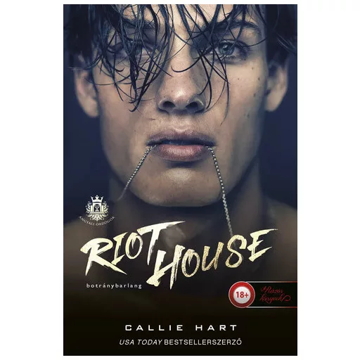 Riot House - Botránybarlang - Angyali ördögök 1. - Callie Hart