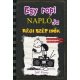 Egy ropi naplója 10. /Régi szép idők (Jeff Kinney)