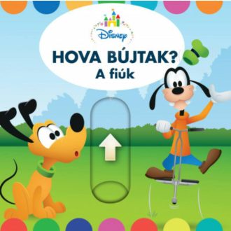 Disney: Hova bújtak? - A fiúk (Lapozó)