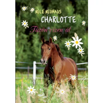 CHARLOTTE 6. - TŰZÖN-VÍZEN ÁT