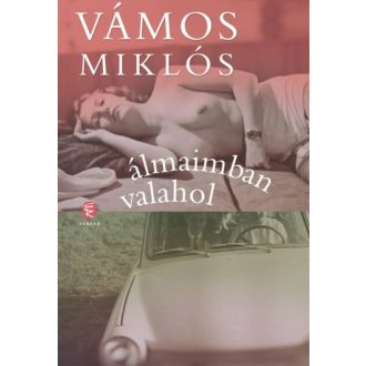 Álmaimban valahol (Vámos Miklós)