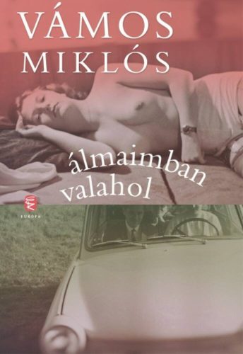 Álmaimban valahol (Vámos Miklós)