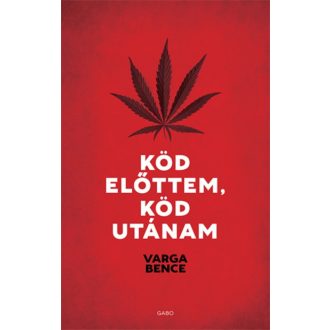 Varga Bence: Köd előttem, köd utánam