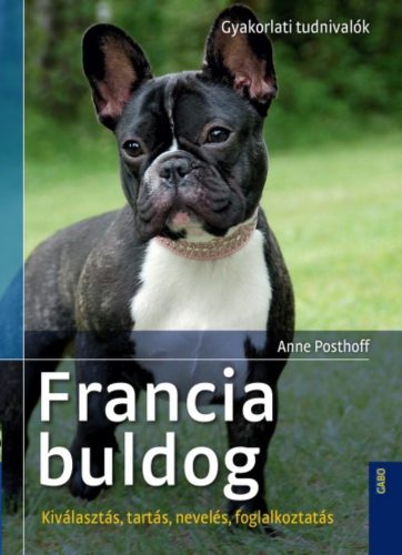 Francia bulldog - Gyakorlati tudnivalók /Kiválasztás, tartás, nevelés, foglalkoztatás (Anne Pos