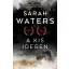 A kis idegen (Sarah Waters)