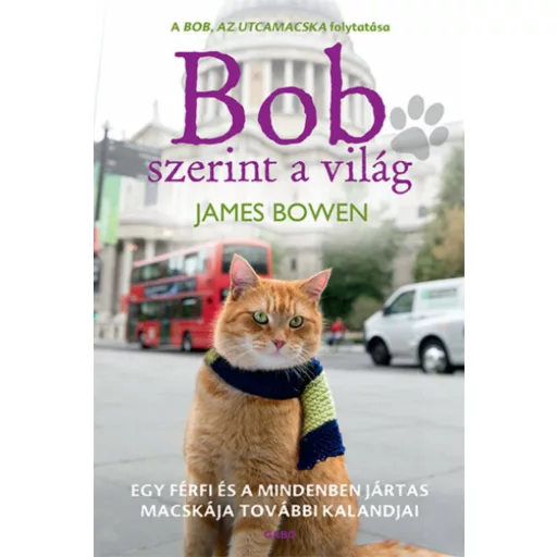 Bob szerint a világ - Egy férfi és mindenben jártas macskája további kalandjai (James Bowen)