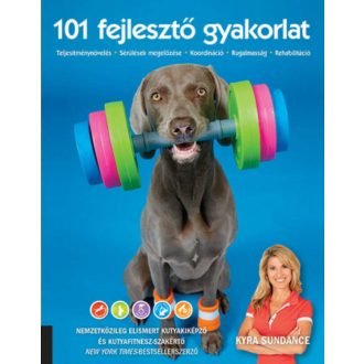 101 fejlesztő gyakorlat (Kyra Sundance)