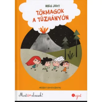 Tökmagok a tűzhányón - Berg Judit