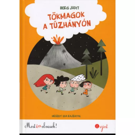 Tökmagok a tűzhányón - Berg Judit