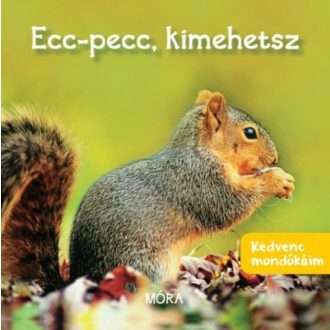 Kedvenc mondókáim - Ecc, pecc, kimehetsz