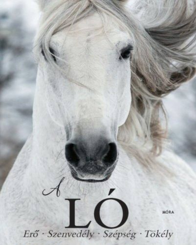 A Ló - Elaine Walker