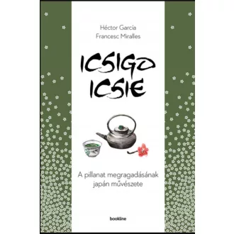 Icsigo-icsie