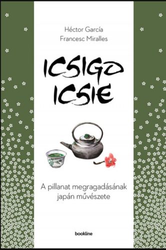 Icsigo-icsie