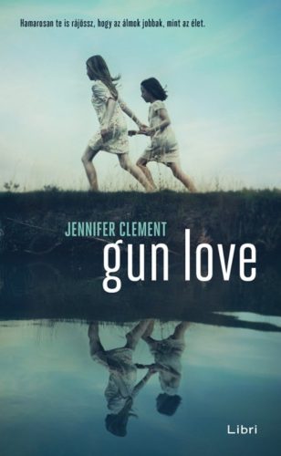 Gun Love (Jennifer Clement)