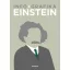 Infografika - Einstein (Brian Clegg)