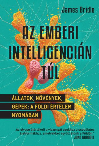 Az emberi intelligencián túl - James Bridle