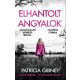 Lottie Parker 8. - Elhantolt angyalok - Patricia Gibney