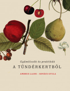 Gyümölcsök és praktikák a Tündérkertből - Ambrus Lajos - Kovács Gyula